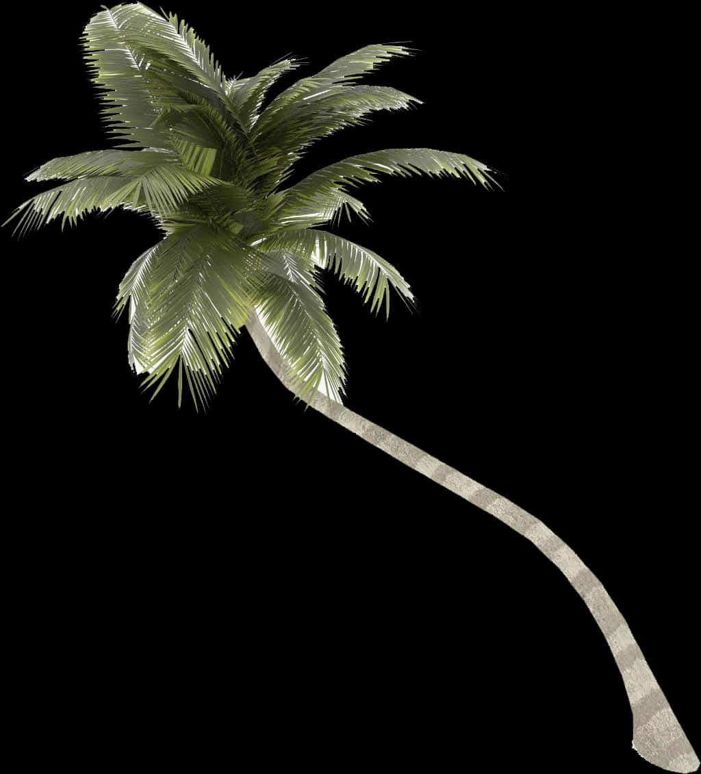 Curved Palm Tree Isolated