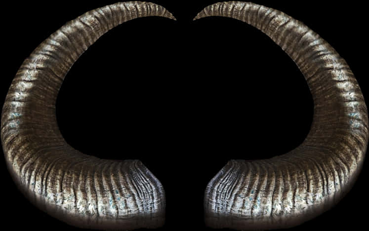 Curved Ram Horns Black Background PNG with transparent background