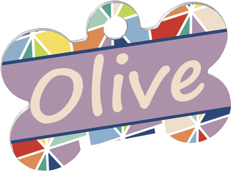 Transparent Dog Bone Tag Png - Sublimar Placa Para Perro, Png Download PNG image with a transparent background, free high-resolution download