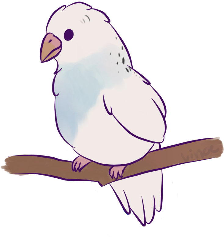 Cute Animated Budgieon Branch