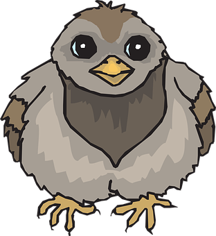 Cute Cartoon Baby Bird PNG with transparent background