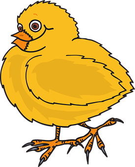 Cute Cartoon Chick Illustration PNG with transparent background