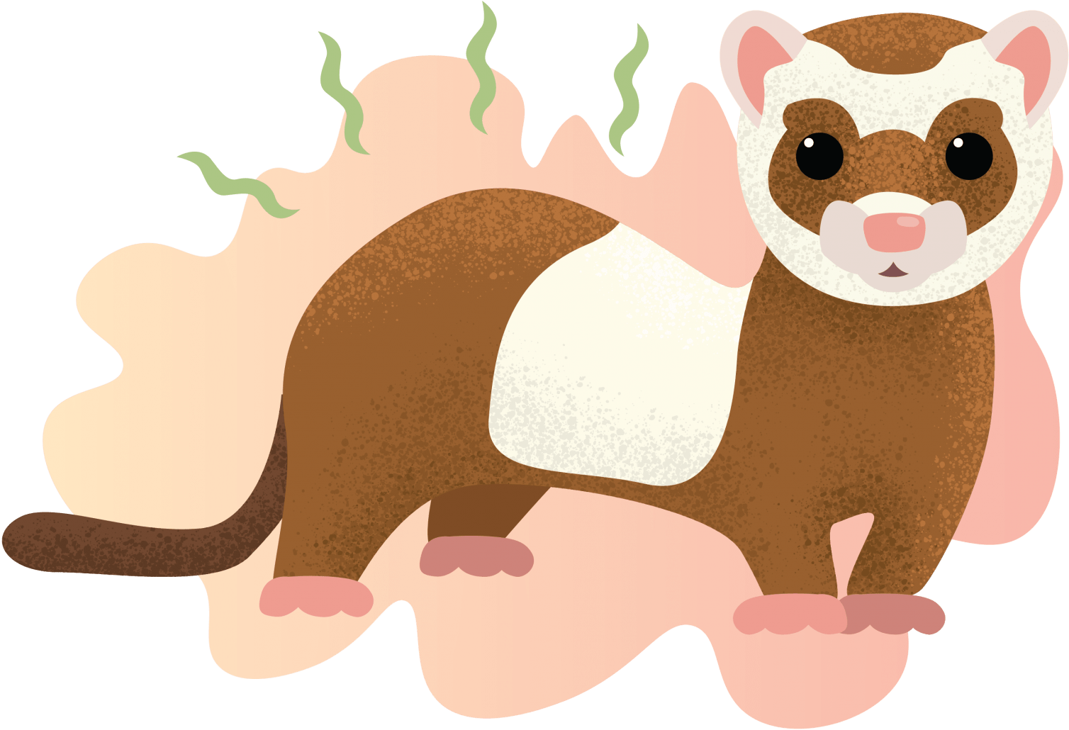 Cute Cartoon Ferret