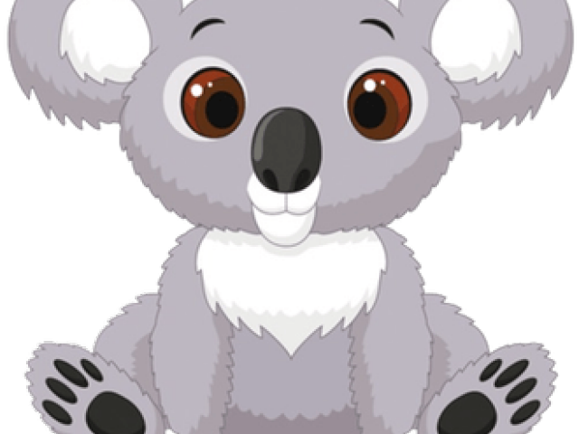 Cute Cartoon Koala