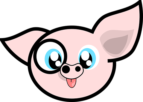 Cute Cartoon Pig Face