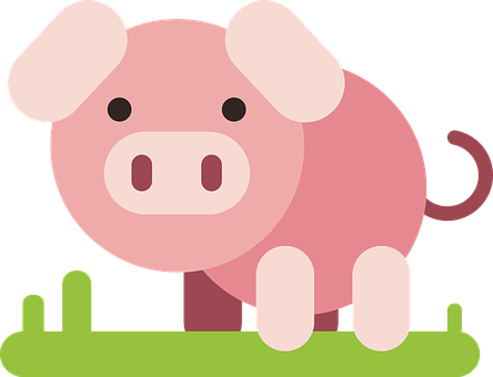 Cute Cartoon Pig Vector