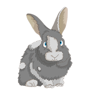 Cute Cartoon Rabbit PNG with transparent background