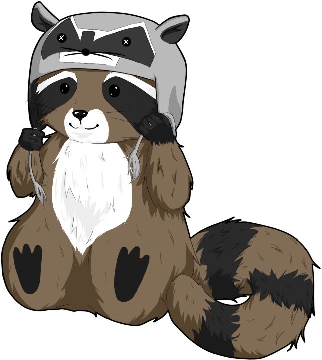 Raccoon Png, Transparent Png PNG with transparent background
