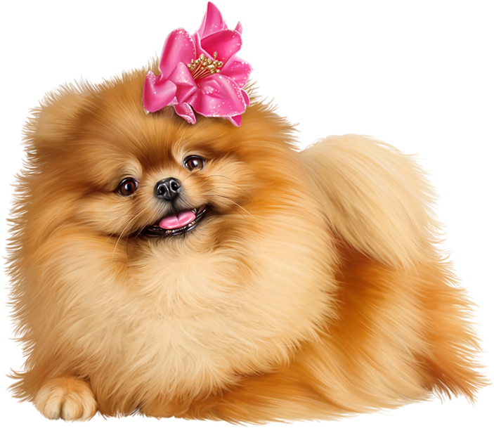 Cute Pomeranian Puppies - Pomeranian Puppy Pixel Clipart, HD Png Download PNG with transparent background
