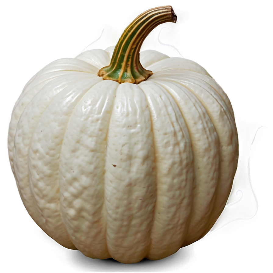 Cute White Pumpkin Png 06212024