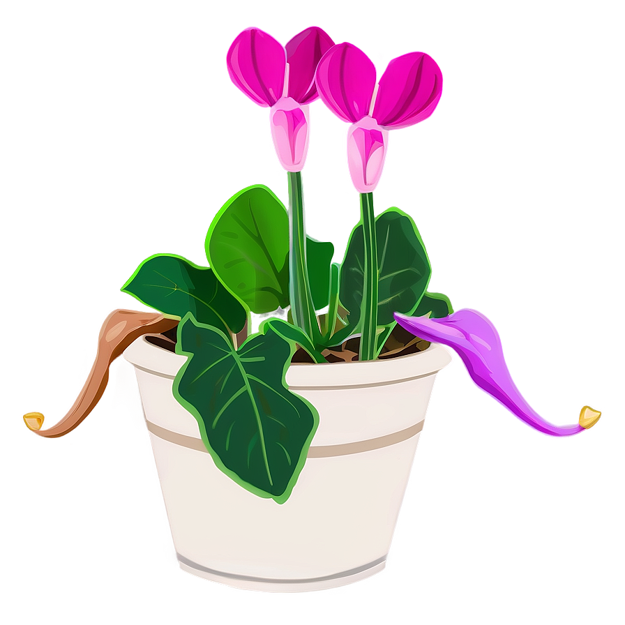 Cyclamen Flower Drawing Png 05252024