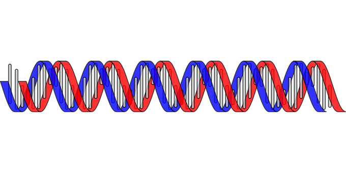 D N A Double Helix Structure 680x340 PNG image with a transparent background, free high-resolution download