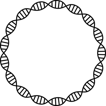 D N A Double Helix Structure PNG image with a transparent background, free high-resolution download