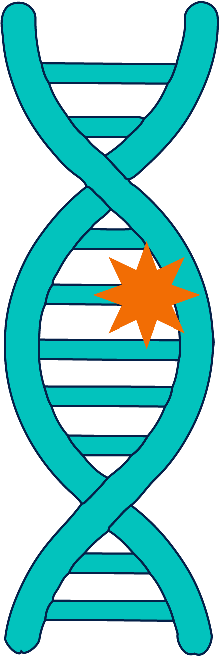 D N A_ Mutation_ Illustration PNG with transparent background