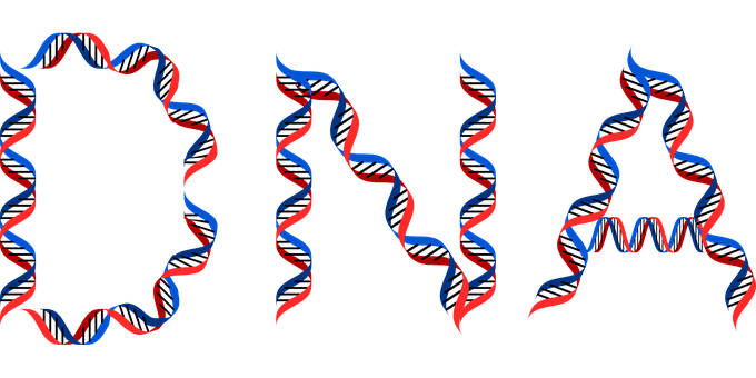 D N A_ Structures_ Illustration PNG with transparent background