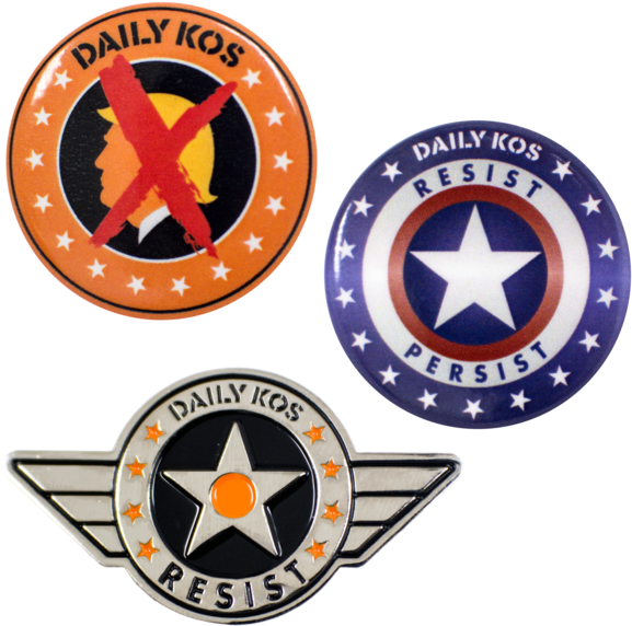 Daily Kos Resist Persist Pins