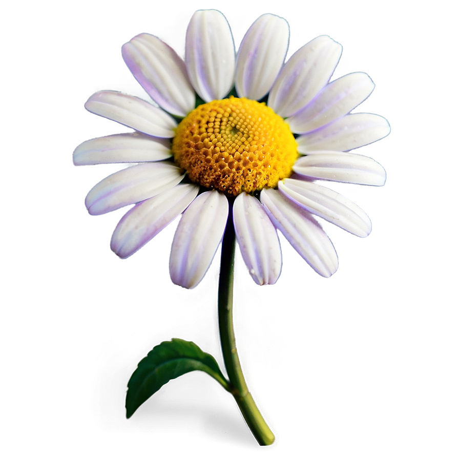 Daisy Artwork Png Dbr