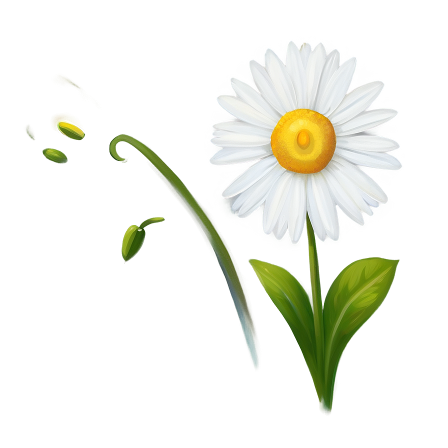 Daisy Artwork Png Ylm22