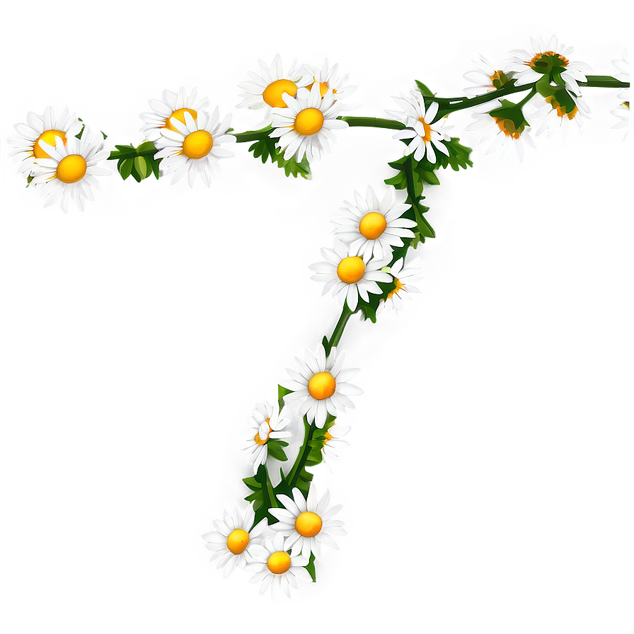 Daisy Chain Png 77