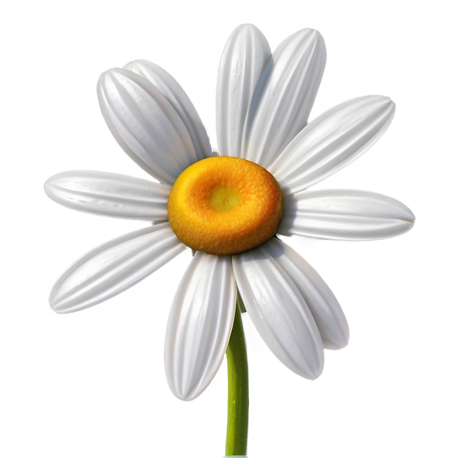 Daisy Clipart Png Wxl