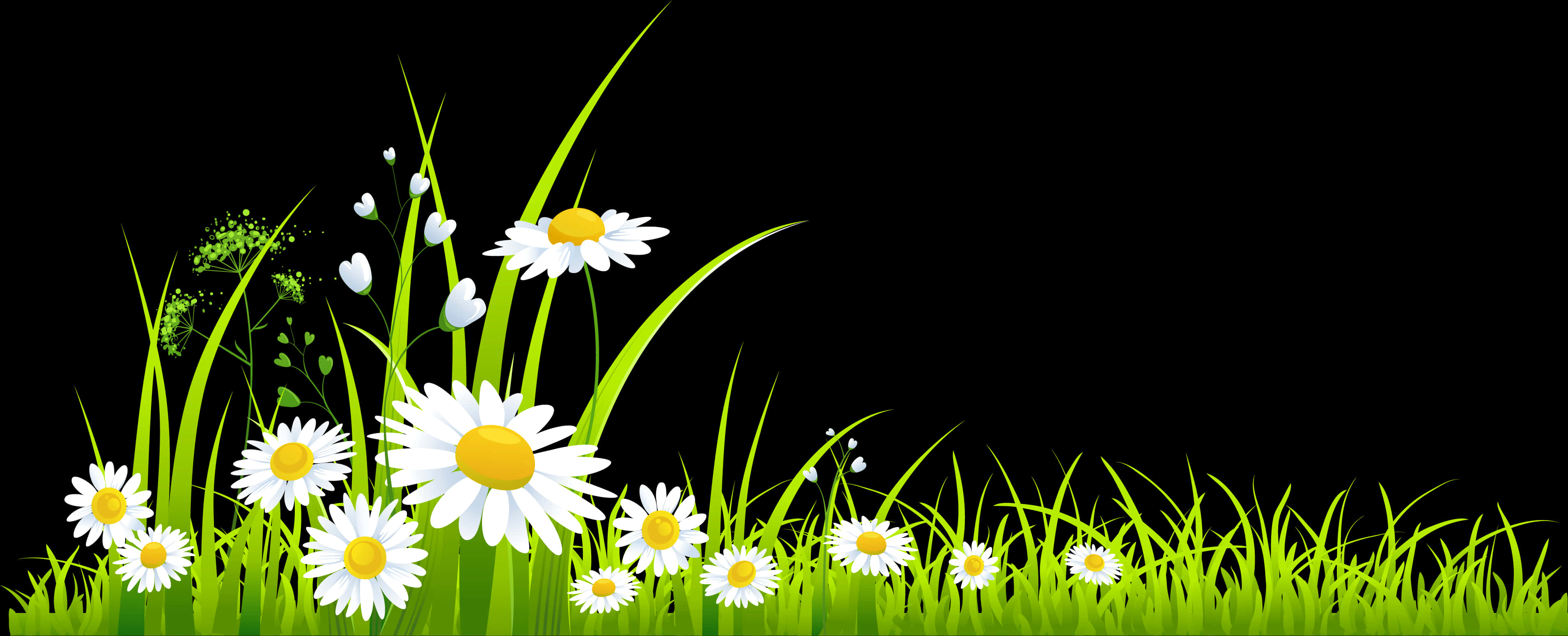Daisy Flower Grass Border Graphic PNG image with a transparent background, free high-resolution download