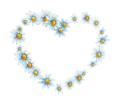 Daisy Heart Formation Black Background PNG with transparent background