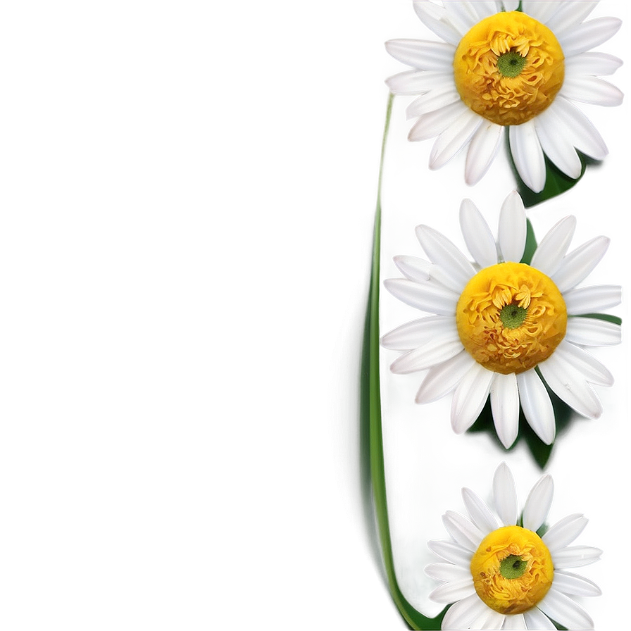 Daisy Logo Png Mmb