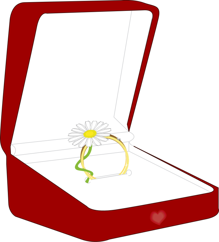 Daisy Ringin Red Box PNG with transparent background
