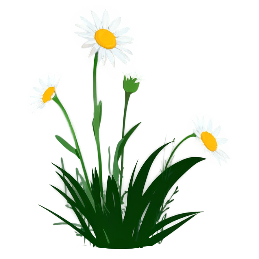 Daisy Silhouette Png 05212024