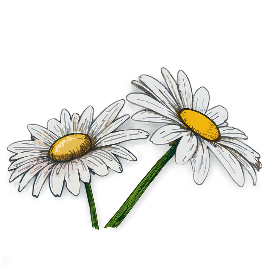 Daisy Sketch Png Qnx87