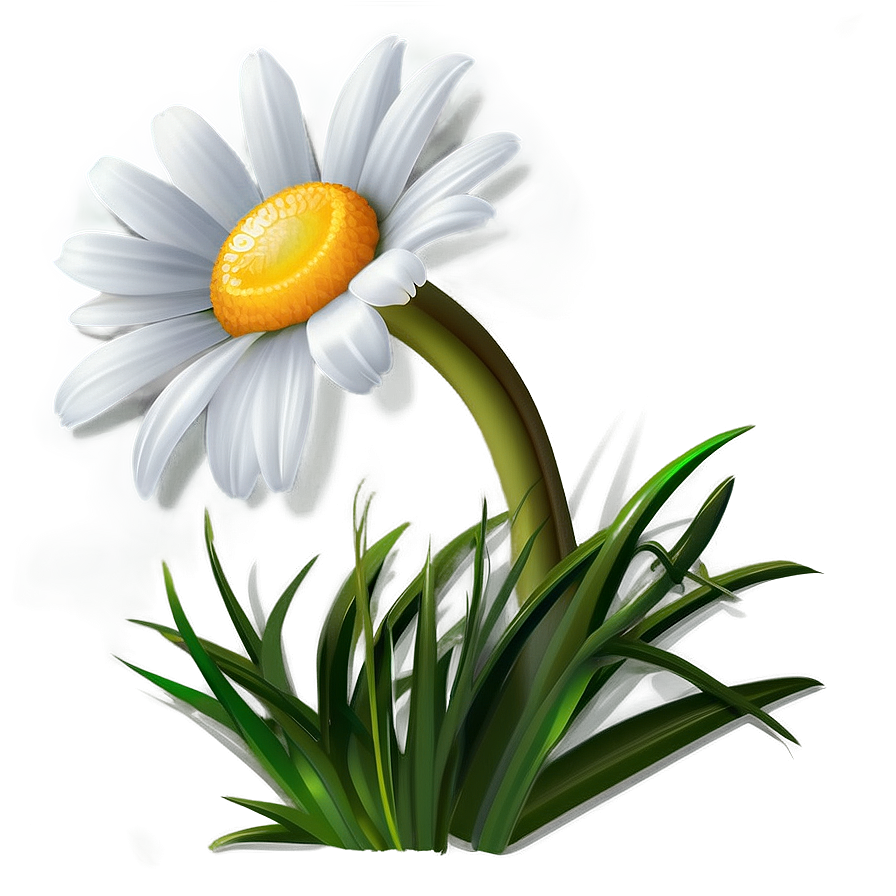 Daisy Vector Png Tvq94