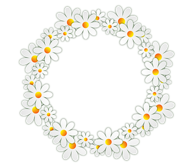 Daisy_ Wreath_on_ Black_ Background PNG with transparent background