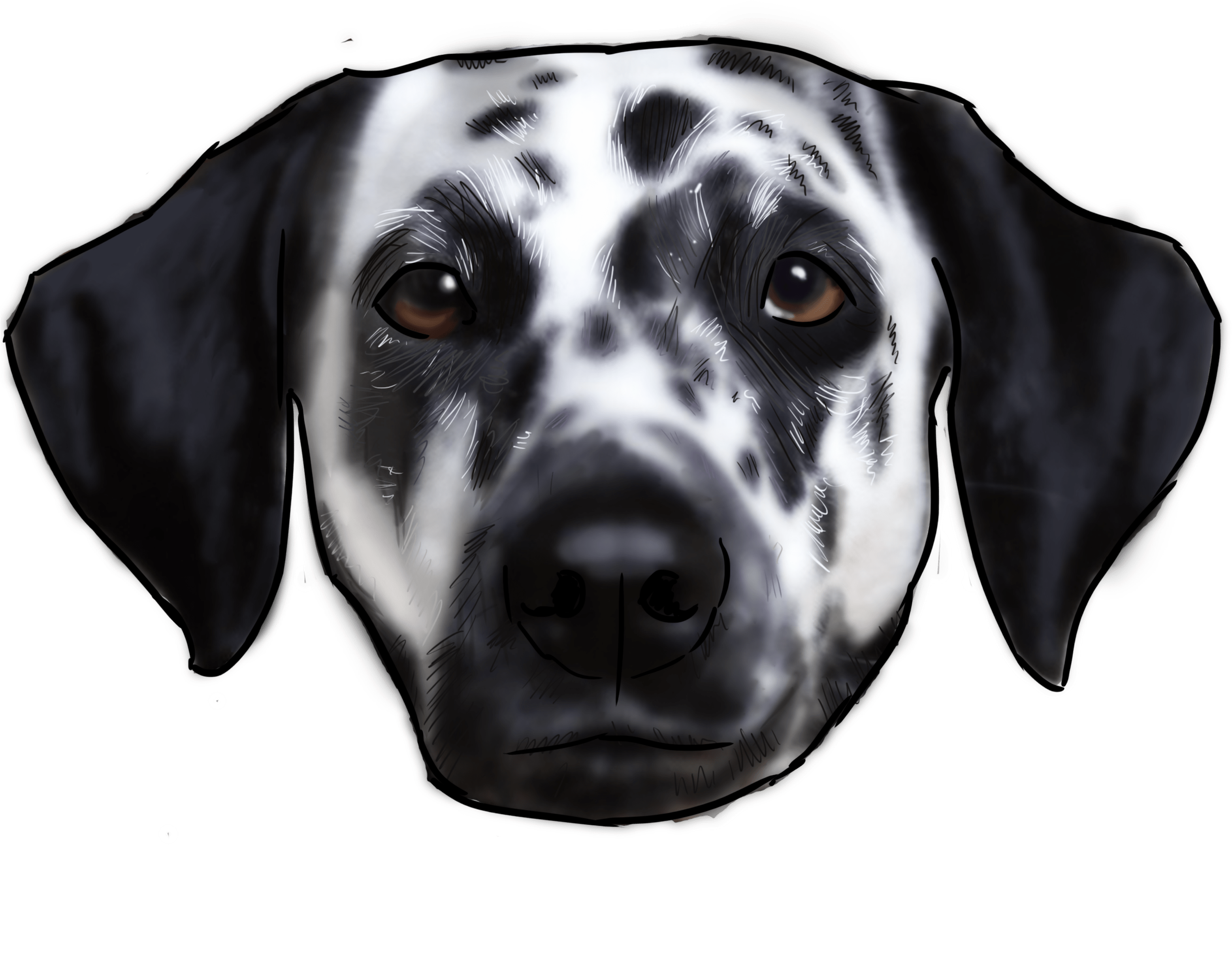 Dalmatian Dog Face Illustration