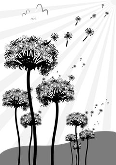 Dandelion_ Silhouette_ Night_ Scene PNG image with a transparent background, free high-resolution download