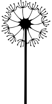 Dandelionin Darkness.jpg PNG image with a transparent background, free high-resolution download