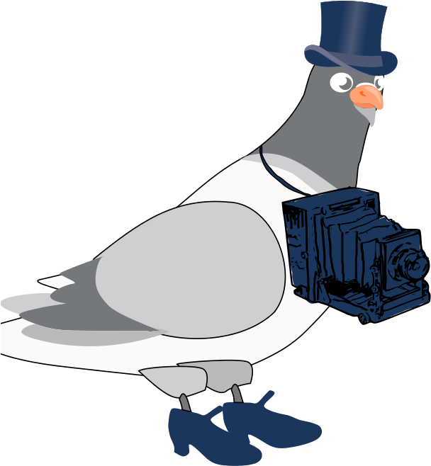 Dapper_ Pigeon_with_ Camera.png