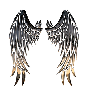 Dark Angel Wings Artwork