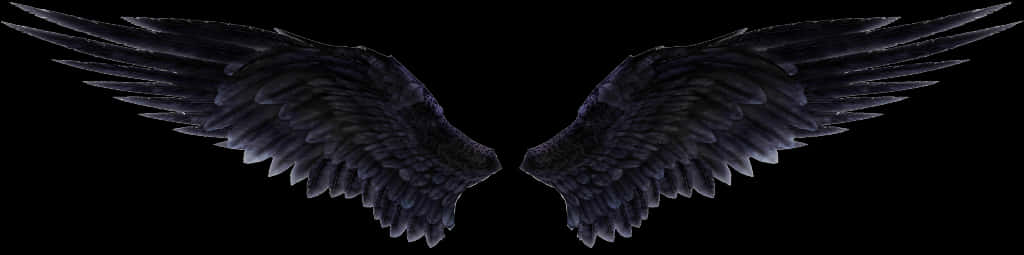 Dark Angel Wings Spread