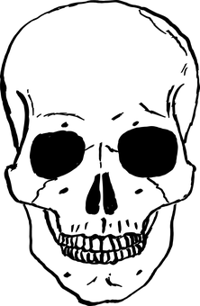 Dark Background Skull Image PNG with transparent background