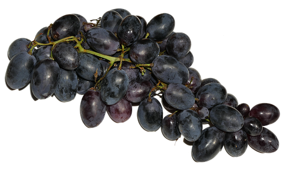 Dark Black Grapes Cluster PNG with transparent background