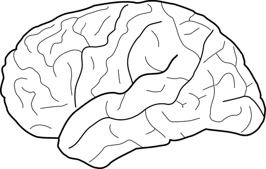 Dark Blank Canvas PNG with transparent background