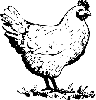 Dark Blank Canvas PNG with transparent background