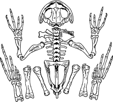 Dark Blank Canvas PNG with transparent background