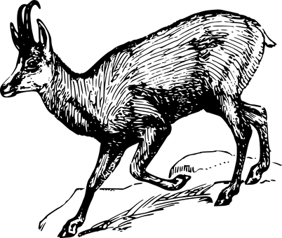 Dark Canvas Solitary Star PNG with transparent background