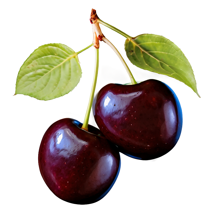 Dark Cherries PNG 06212024 PNG with transparent background