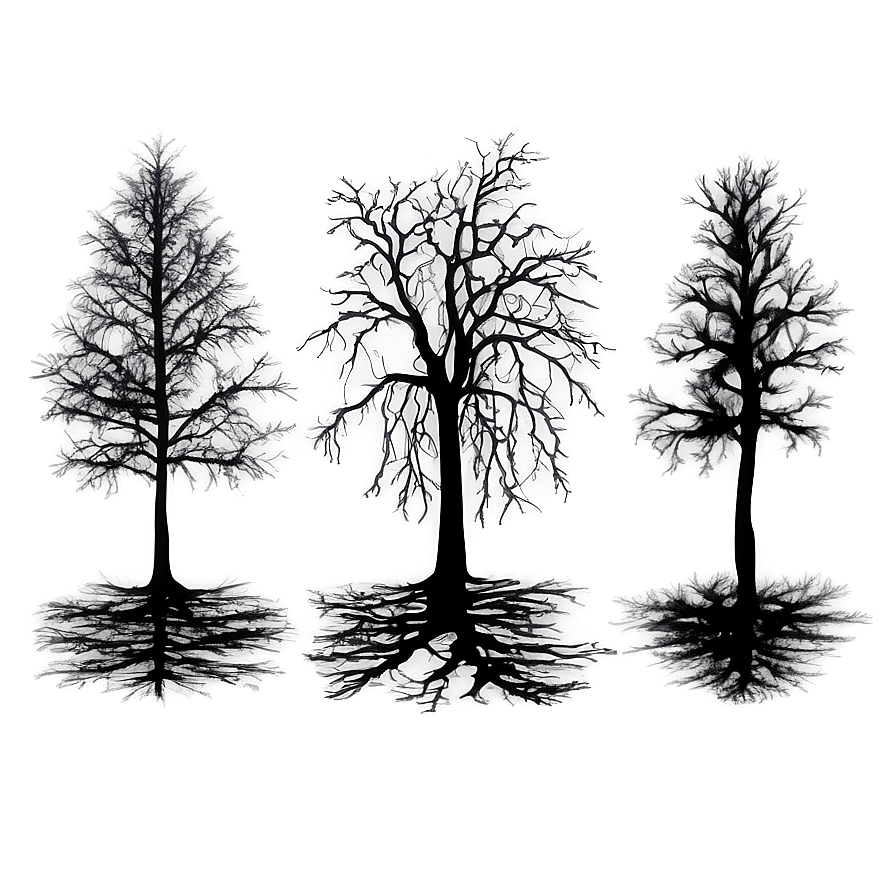 Dark Eerie Black Trees Png 49