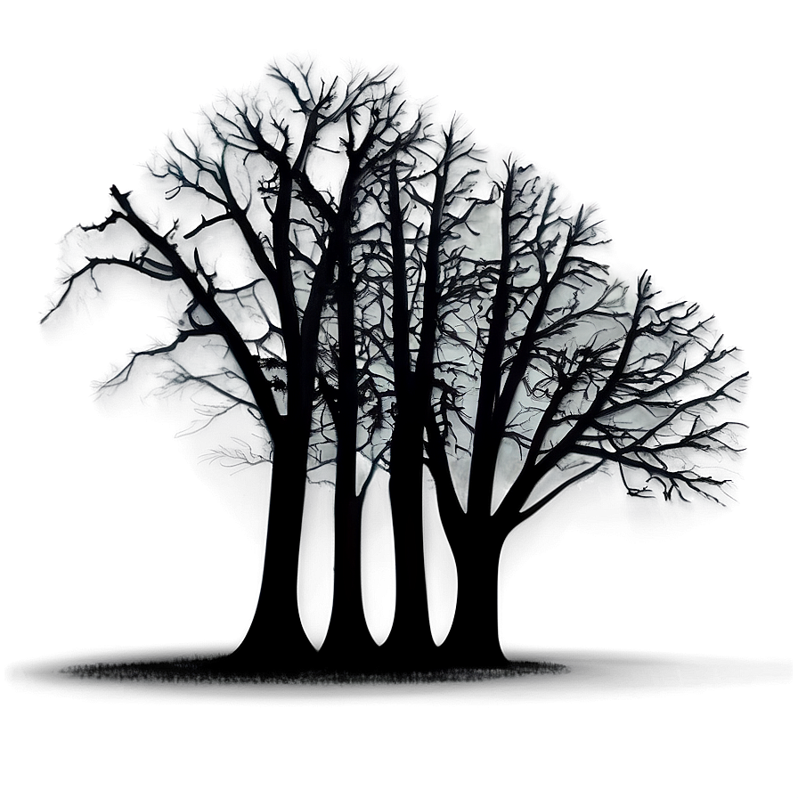 Dark Eerie Black Trees Png 79