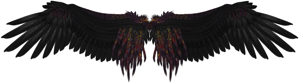 Wings Png Download - Black Angel Wings Art, Transparent Png PNG with transparent background