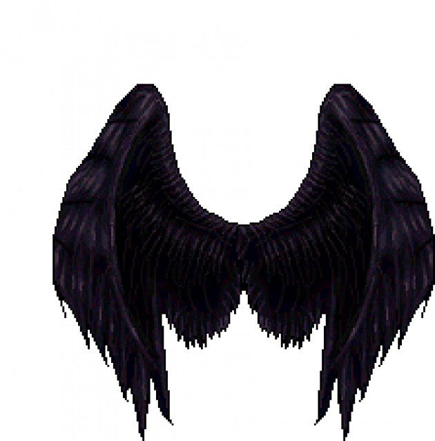 Dark_ Feathered_ Wings_ Artwork