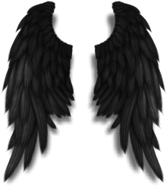 Darkangel Angelwings Angels Angel Wings Feathers Fly - Buy Black Angel Wings, HD Png Download PNG with transparent background